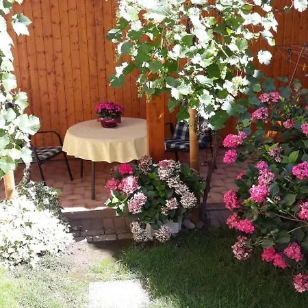 شقة Ferienwohnung Regina Grauer